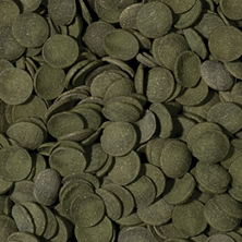 Tropical GREEN ALGAE WAFERS