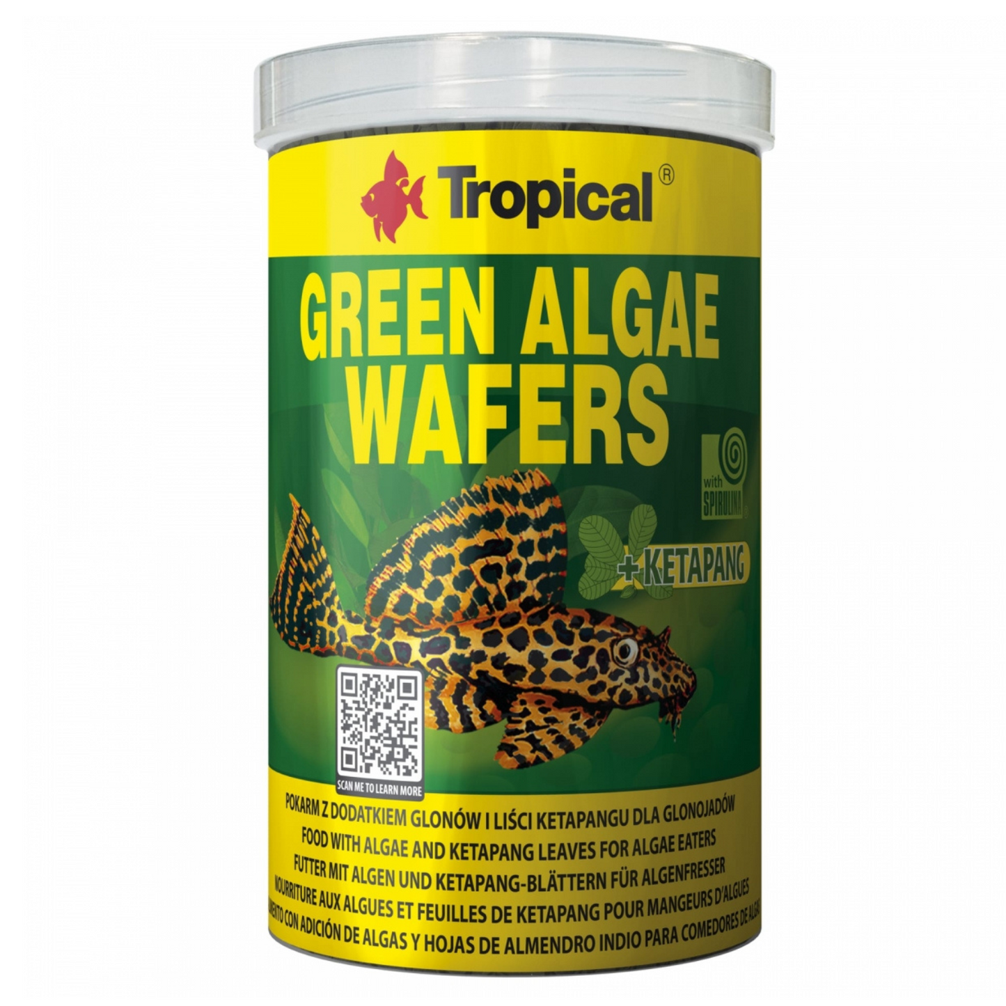 Tropical GREEN ALGAE WAFERS