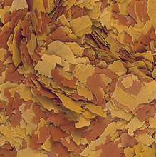 Tropical VITALITY & COLOR (Flakes)