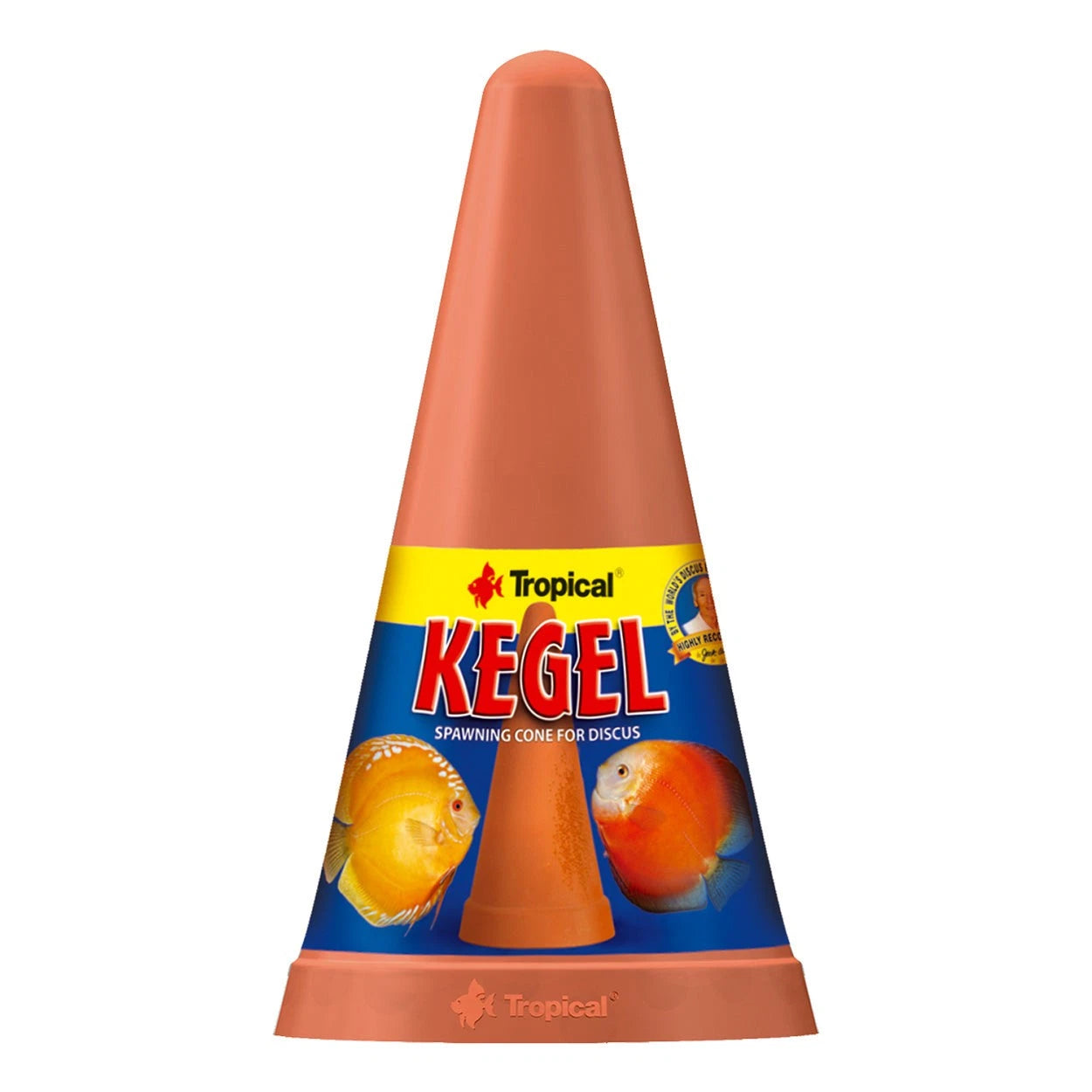 Tropical Kegel Cono de Propagación